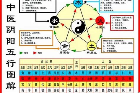 1984是什么鼠|1984年属鼠的是什么命，84年出生的鼠五行属什么